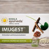 Имугест Керала Аюрведа 100 таб (Imugest Kerala Ayurveda)