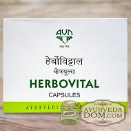 Хербовитал 120 таб для мужского здоровья (Herbovital AVN)
