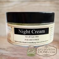 Ночной крем для лица "Кхади", 50 грамм (Khadi Night Cream)