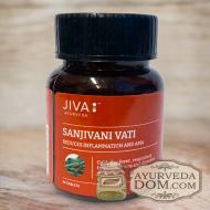 "Сандживани вати" от "Джива" (для легких), 60 таблеток для легких (Sanjivani Vat
