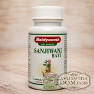 Сандживани вати 80 таб «Бадьянатх» (Sanjivani Vati Baidyanath)